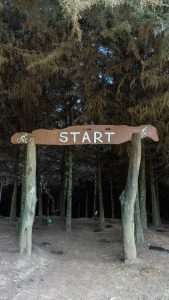 Getting Started